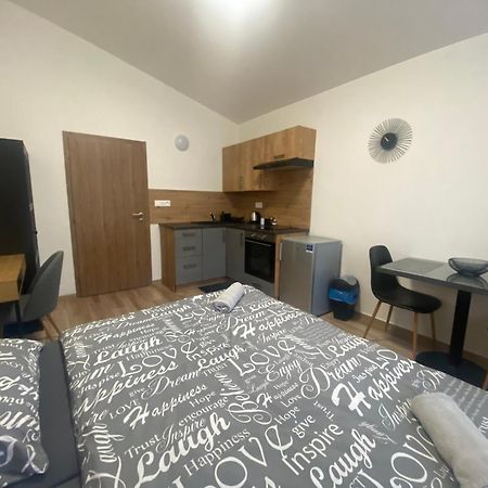 Cerna Ruze - Apartman 7 Plzeň Extérieur photo