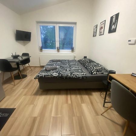 Cerna Ruze - Apartman 7 Plzeň Extérieur photo