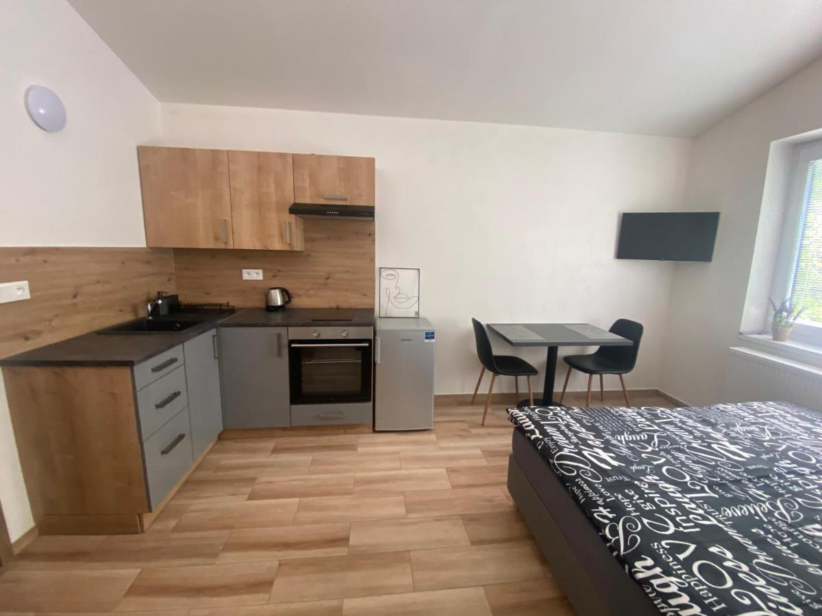 Cerna Ruze - Apartman 7 Plzeň Extérieur photo