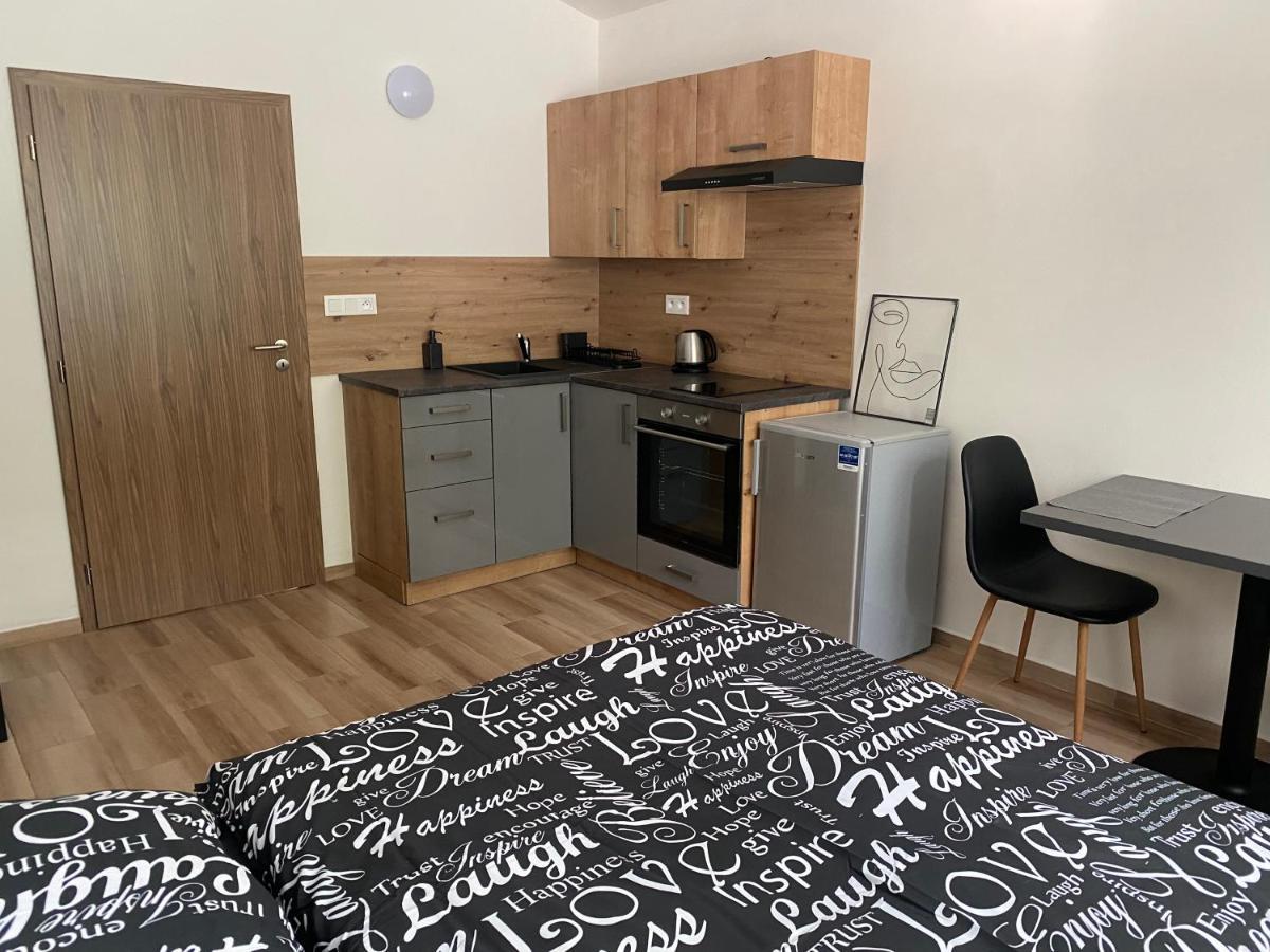 Cerna Ruze - Apartman 7 Plzeň Extérieur photo