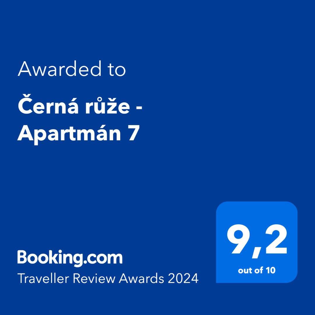 Cerna Ruze - Apartman 7 Plzeň Extérieur photo